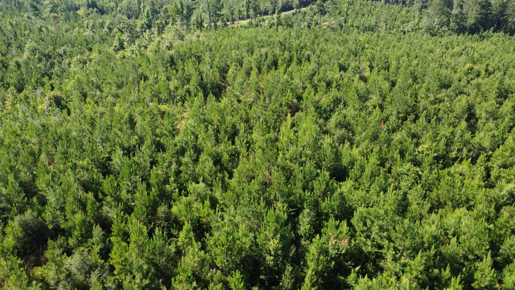 1013 Clear Creek Church Road Columbia, MS 39429 - Photo 69 of 76 Photo 69