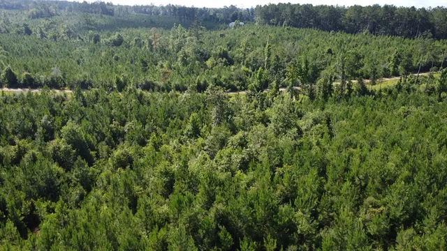 $299,000 | 1013 Clear Creek Church Road, Columbia, MS 39429