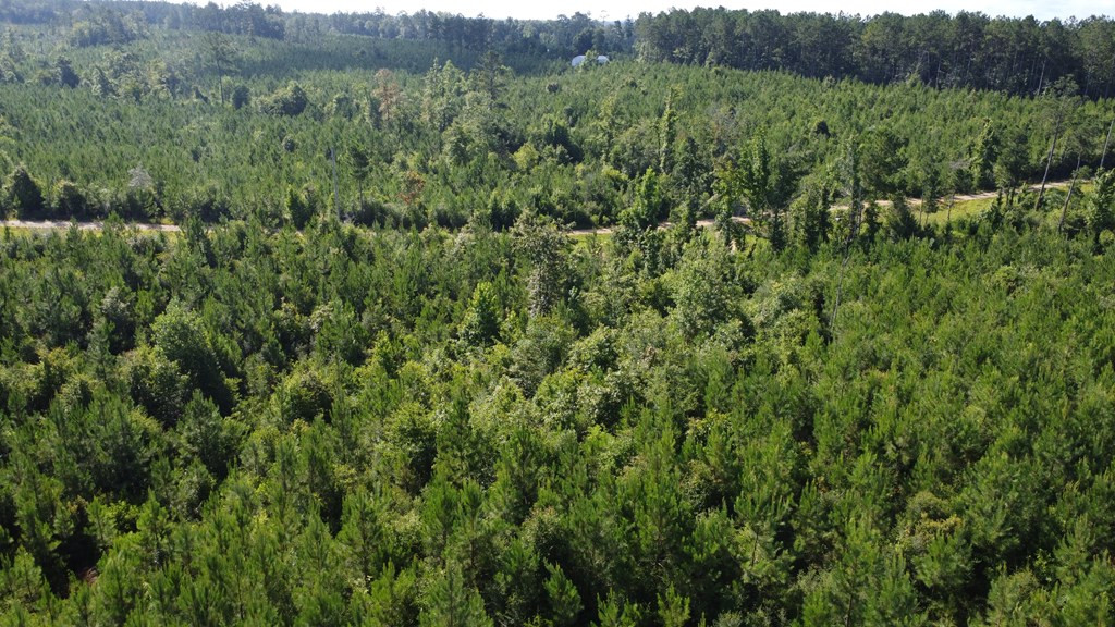 1013 Clear Creek Church Road Columbia, MS 39429 - Photo 70 of 76 Photo 70