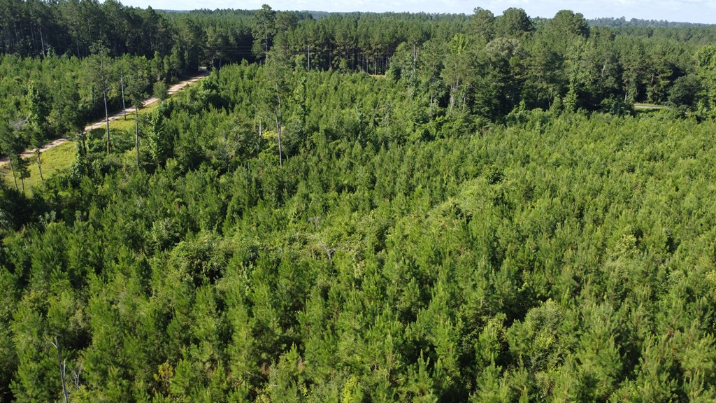 1013 Clear Creek Church Road Columbia, MS 39429 - Photo 71 of 76 Photo 71