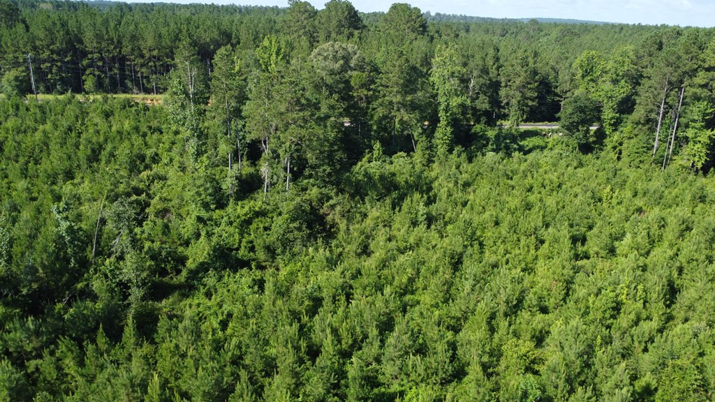 1013 Clear Creek Church Road Columbia, MS 39429 - Photo 72 of 76 Photo 72