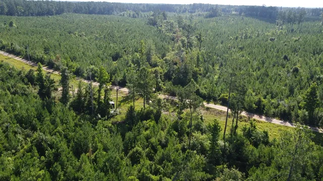 $299,000 | 1013 Clear Creek Church Road, Columbia, MS 39429