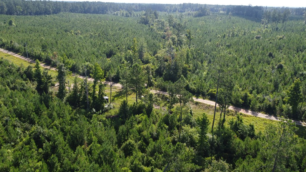 1013 Clear Creek Church Road Columbia, MS 39429 - Photo 73 of 76 Photo 73