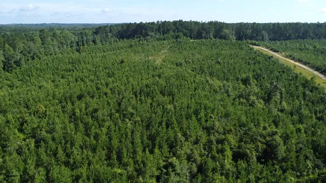 $299,000 | 1013 Clear Creek Church Road, Columbia, MS 39429