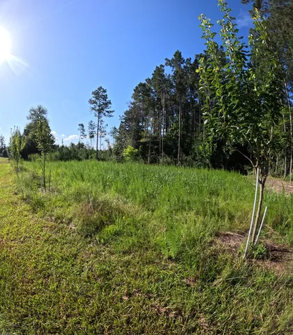 $299,000 | 1013 Clear Creek Church Road, Columbia, MS 39429