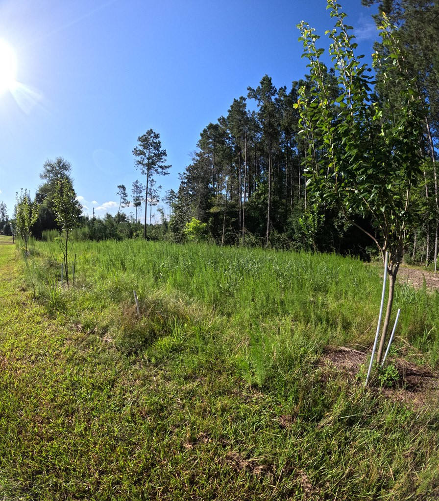 1013 Clear Creek Church Road Columbia, MS 39429 - Photo 75 of 76 Photo 75