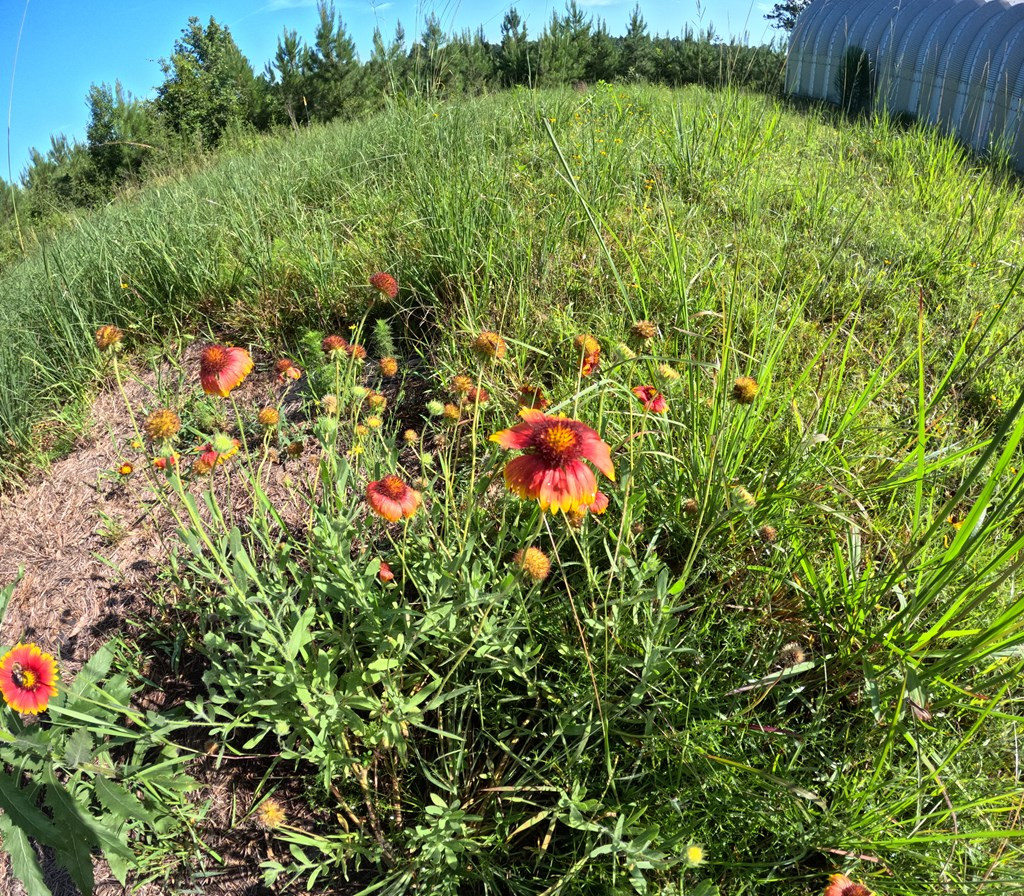 1013 Clear Creek Church Road Columbia, MS 39429 - Photo 76 of 76 Photo 76