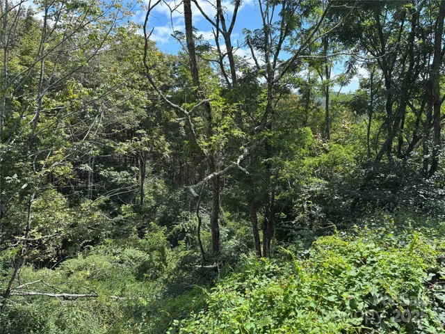 $175,000 | Tbd Linhigh Drive, Unit 66, Newland, NC 28657