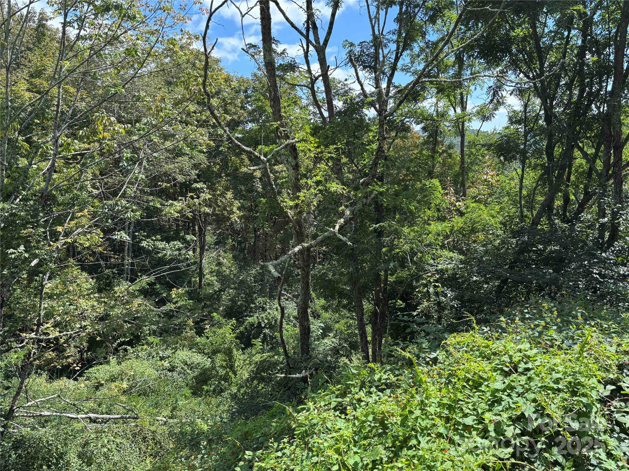 Tbd Linhigh Drive, Unit 66 Newland, NC 28657 - Photo 2 of 4