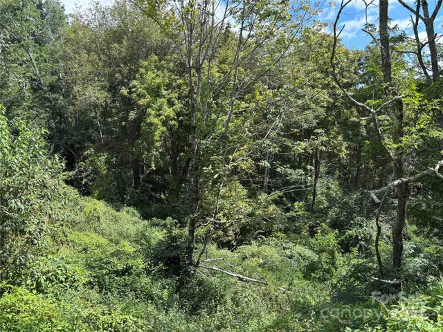 $175,000 | Tbd Linhigh Drive, Unit 66, Newland, NC 28657