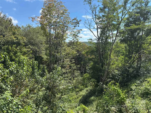 $175,000 | Tbd Linhigh Drive, Unit 66, Newland, NC 28657