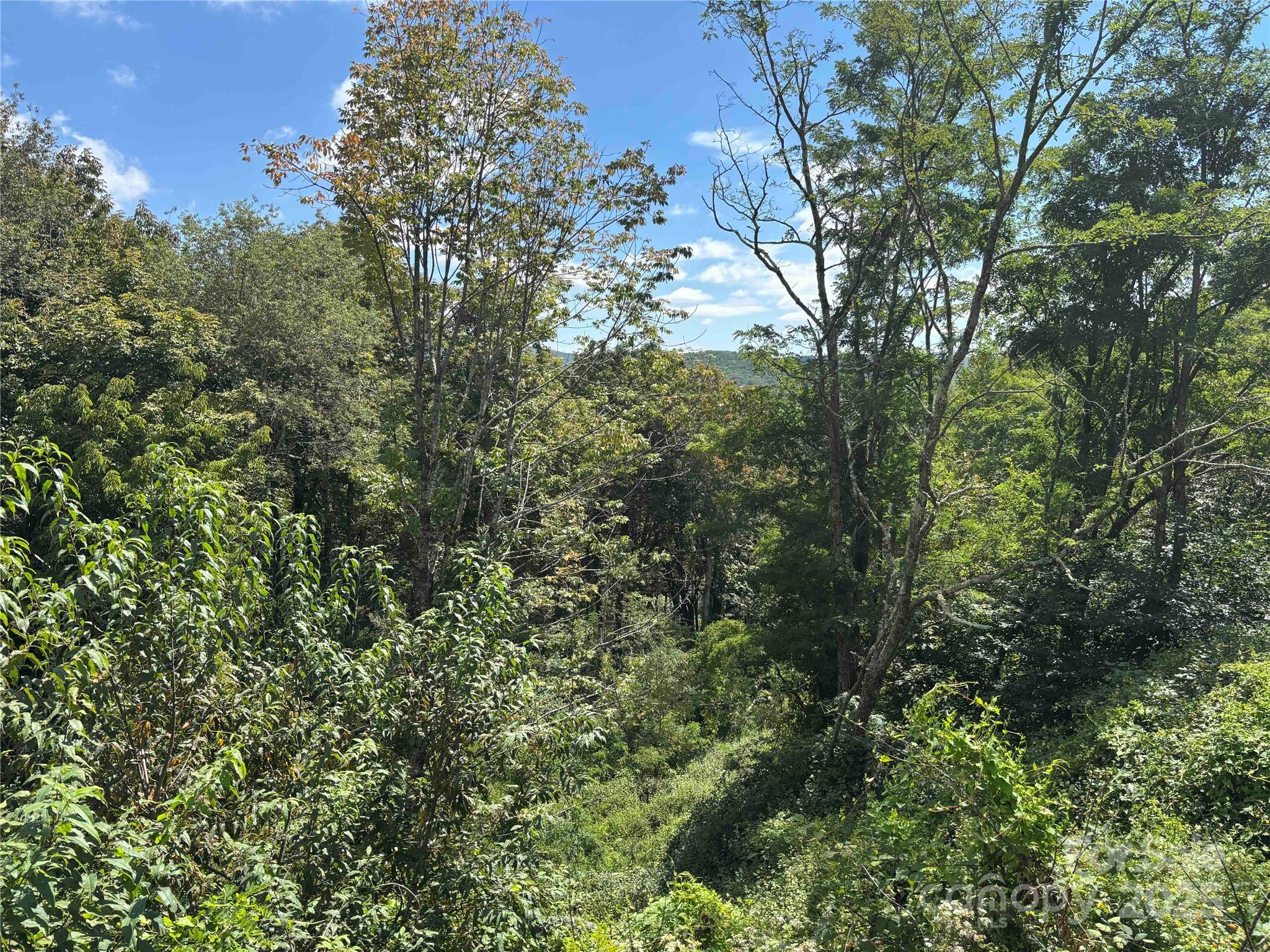 Tbd Linhigh Drive, Unit 66 Newland, NC 28657 - Photo 4 of 4