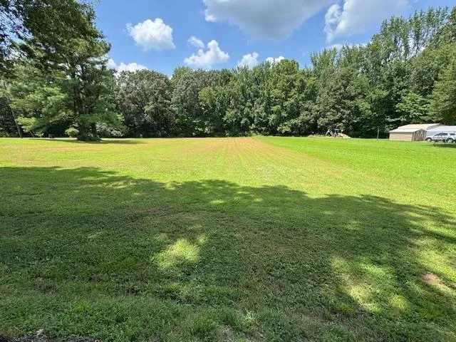 a view of a green yard with a house in the background