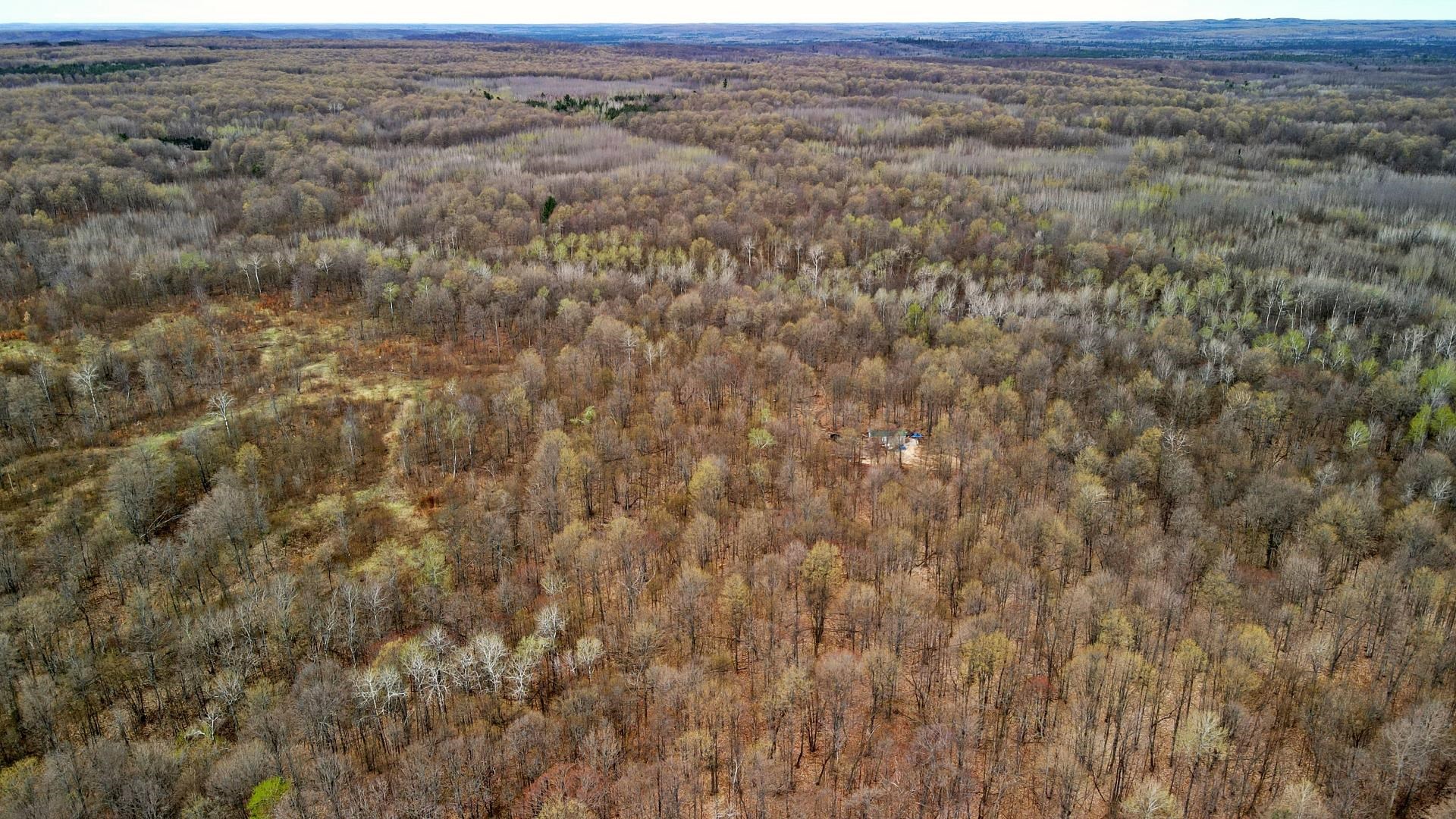333 West Johnson Road Manton, MI 49663 - Photo 9 of 31