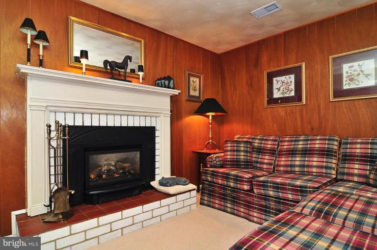 5125 Durham Road East Columbia, MD 21044 - Photo 11 of 21 Recreation Room #2