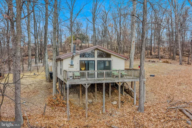 a roof deck covered with tall trees