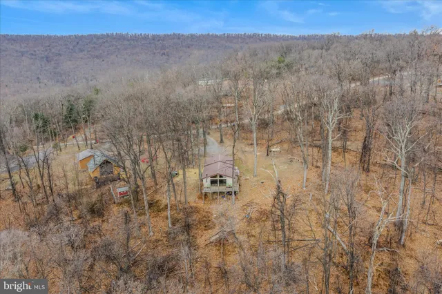 a view of a dry yard with trees