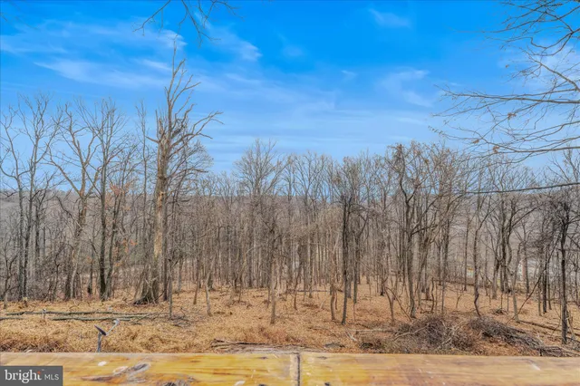 a view of a yard with trees in the background