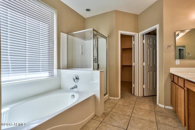 13652 West Calavar Road Surprise, AZ 85379 - Photo 6 of 39 Master_Bathroom.jpg