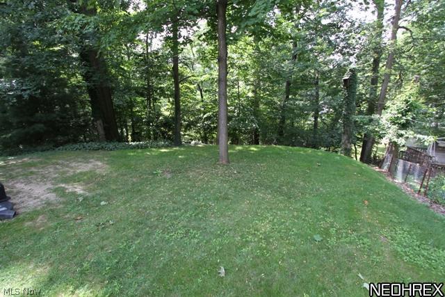 1588 Sheffield Road Cleveland, OH 44121 - Photo 18 of 19 BACKYARD