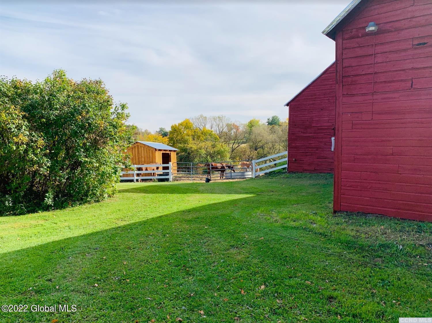 639 County Rte 351 Rensselaerville, NY 12120 - Photo 5 of 25 horses bill