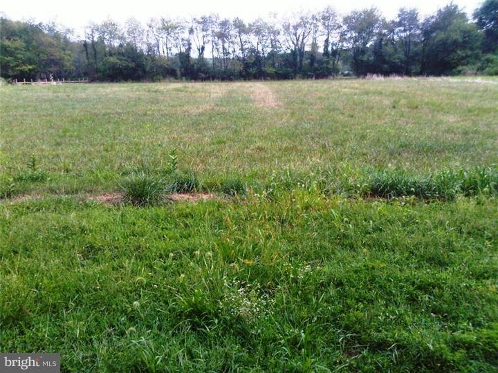 0 Pinyard Road Monroeville, NJ 08343 - Photo 4 of 11