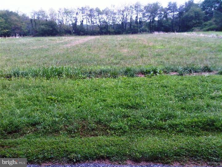 0 Pinyard Road Monroeville, NJ 08343 - Photo 8 of 11