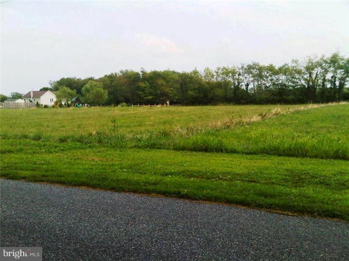 0 Pinyard Road Monroeville, NJ 08343 - Photo 9 of 11