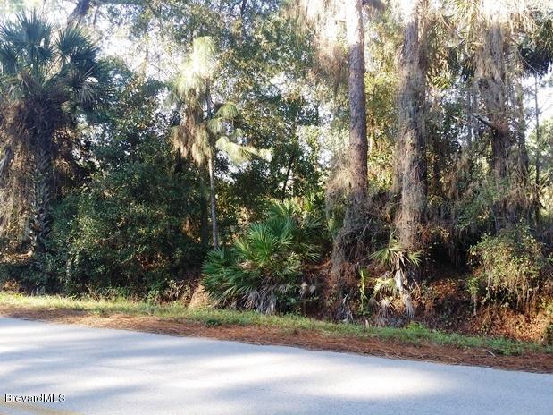 2 Turpentine Road Mims, FL 32754 - Photo 1 of 6 20141216_093242