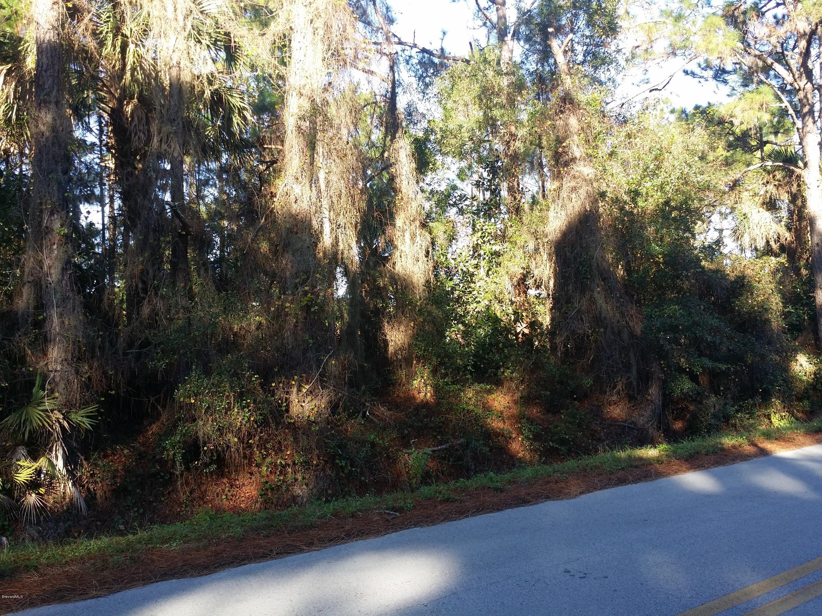 2 Turpentine Road Mims, FL 32754 - Photo 4 of 6 20141216_093250