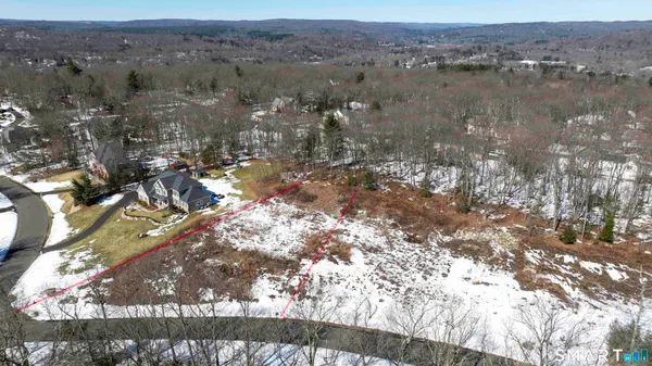 a view of a yard with trees in the background