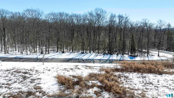 a view of a yard with wooden fence
