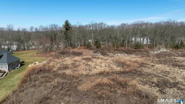 a view of road and trees
