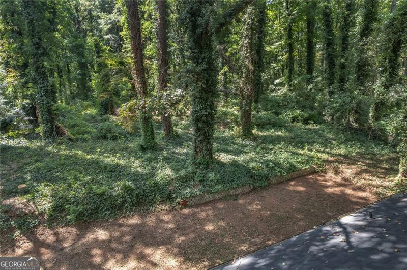 722 Northern Clarkston, GA 30021 - Photo 25 of 31 a view of a forest with trees in the background