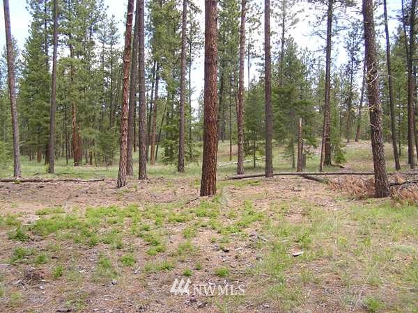 4-tbd Squirrel Road Tonasket, WA 98855 - Photo 1 of 18