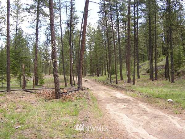 4-tbd Squirrel Road Tonasket, WA 98855 - Photo 2 of 18