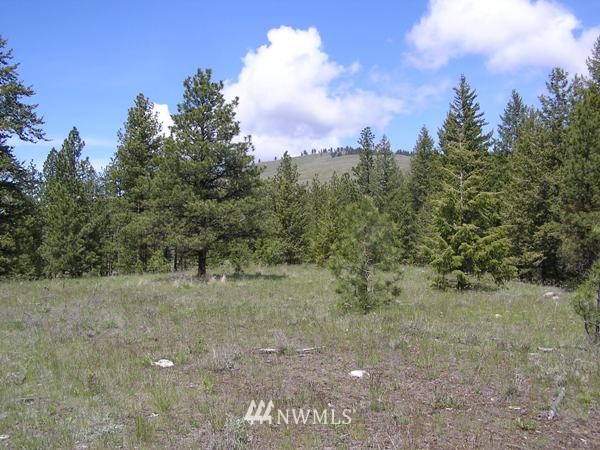 4-tbd Squirrel Road Tonasket, WA 98855 - Photo 11 of 18