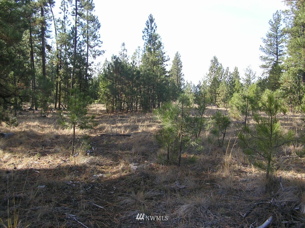 4-tbd Squirrel Road Tonasket, WA 98855 - Photo 12 of 18