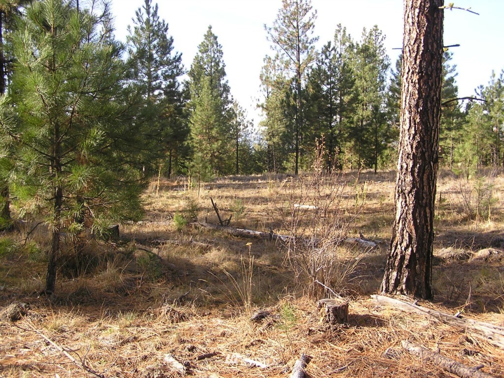 4-tbd Squirrel Road Tonasket, WA 98855 - Photo 13 of 18
