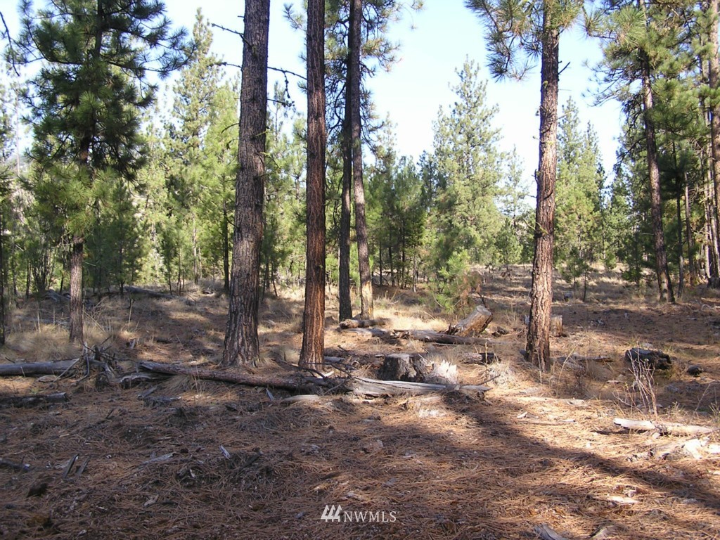 4-tbd Squirrel Road Tonasket, WA 98855 - Photo 14 of 18