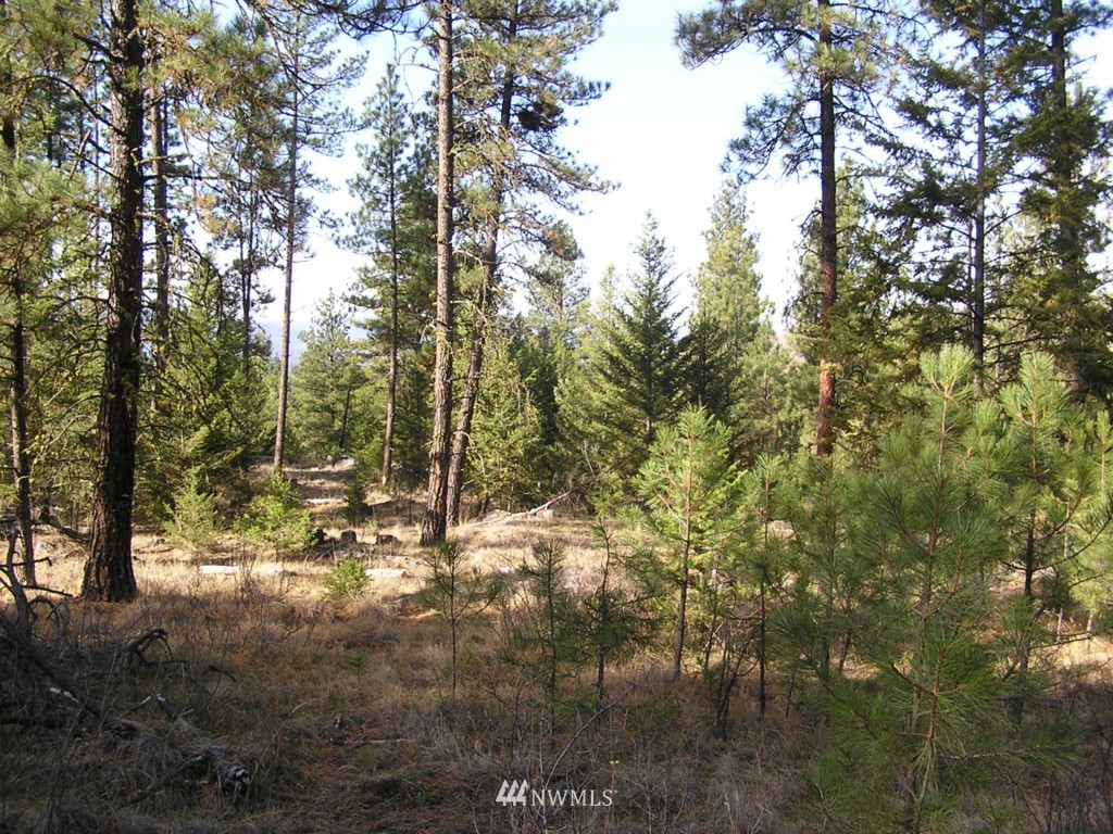 4-tbd Squirrel Road Tonasket, WA 98855 - Photo 16 of 18