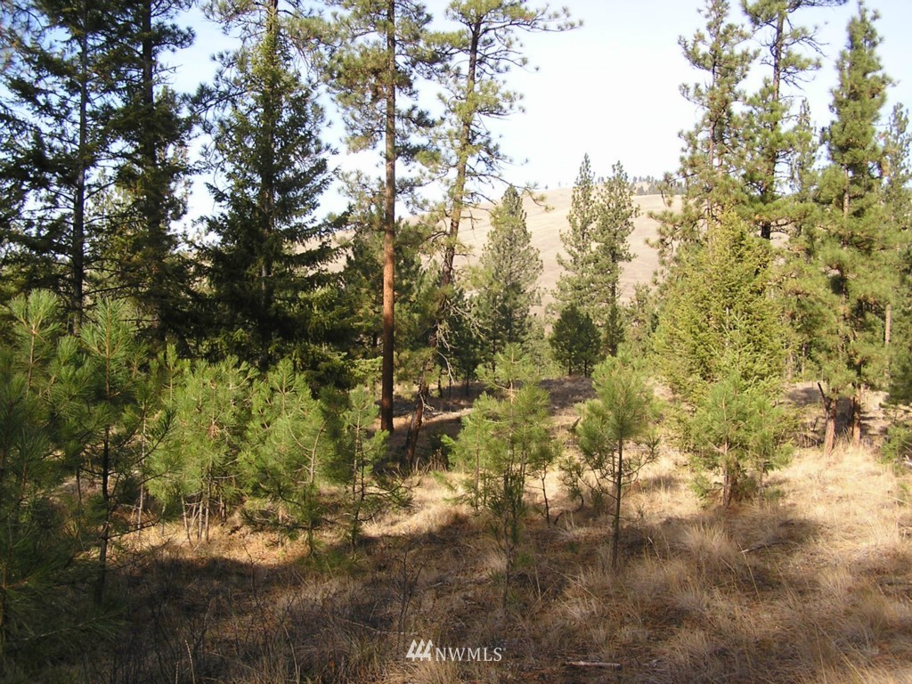 4-tbd Squirrel Road Tonasket, WA 98855 - Photo 17 of 18