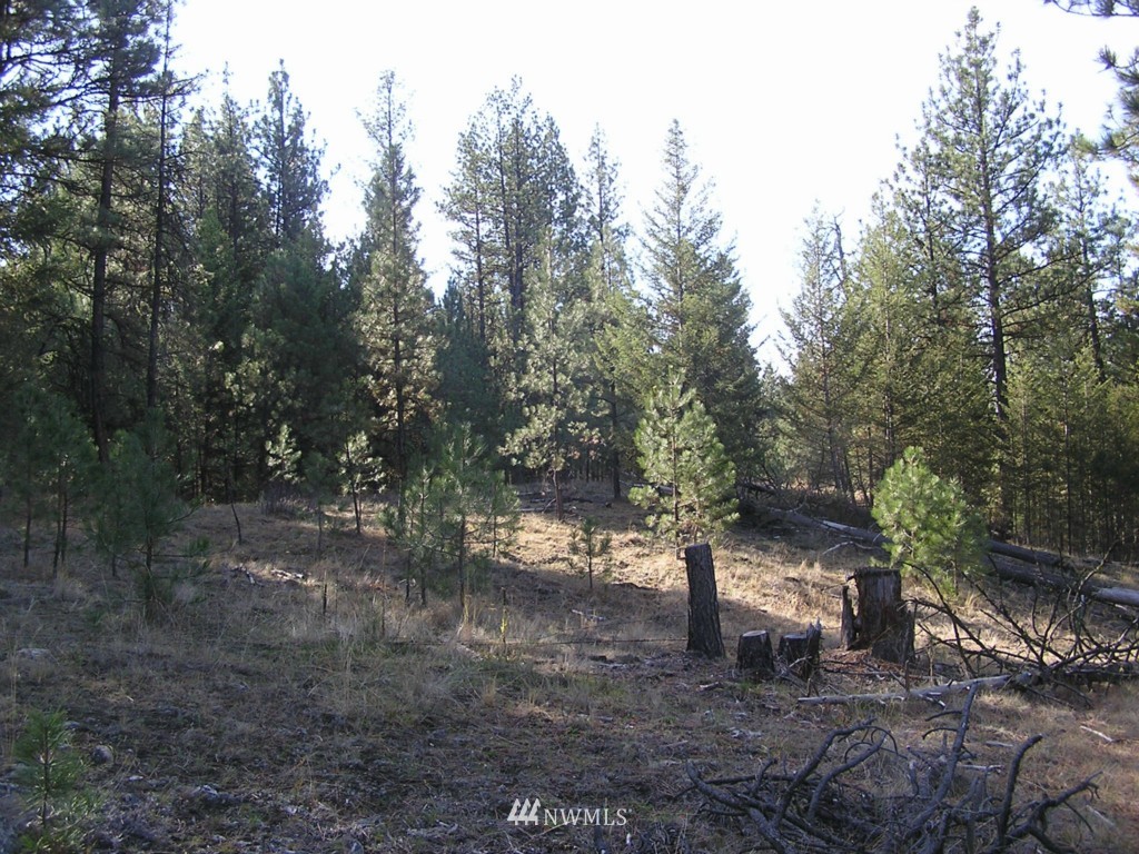 4-tbd Squirrel Road Tonasket, WA 98855 - Photo 18 of 18