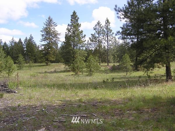 4-tbd Squirrel Road Tonasket, WA 98855 - Photo 3 of 18