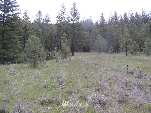 4-tbd Squirrel Road Tonasket, WA 98855 - Photo 4 of 18