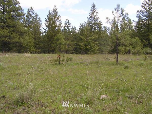 4-tbd Squirrel Road Tonasket, WA 98855 - Photo 5 of 18