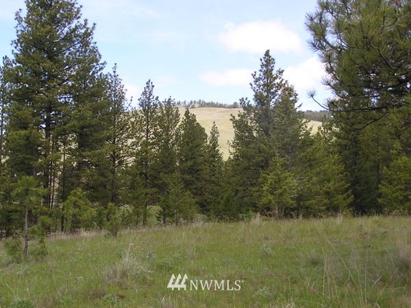 4-tbd Squirrel Road Tonasket, WA 98855 - Photo 6 of 18