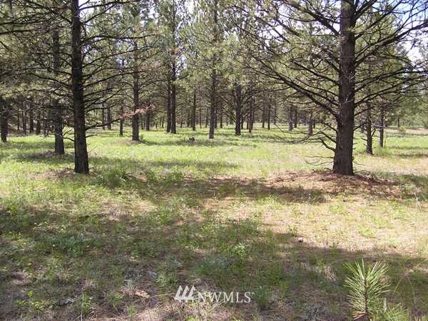 4-tbd Squirrel Road Tonasket, WA 98855 - Photo 7 of 18