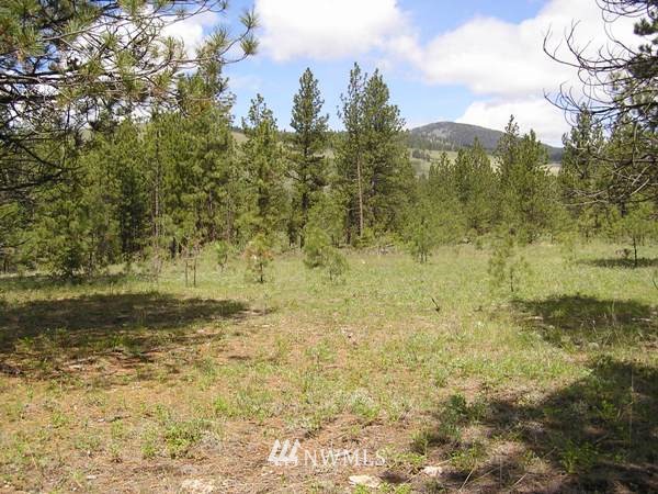 4-tbd Squirrel Road Tonasket, WA 98855 - Photo 8 of 18