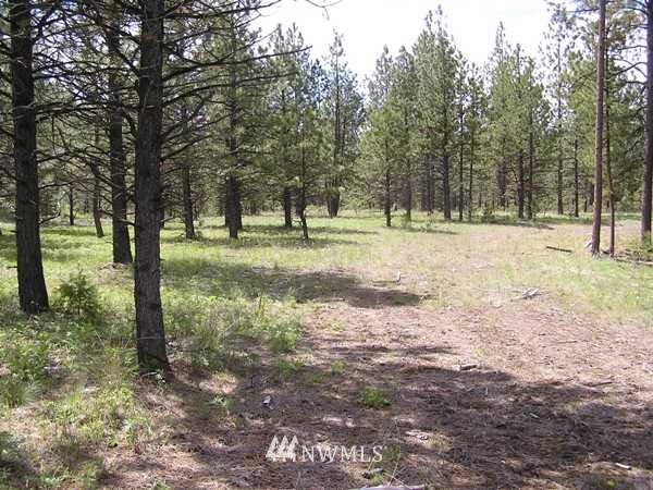 4-tbd Squirrel Road Tonasket, WA 98855 - Photo 9 of 18